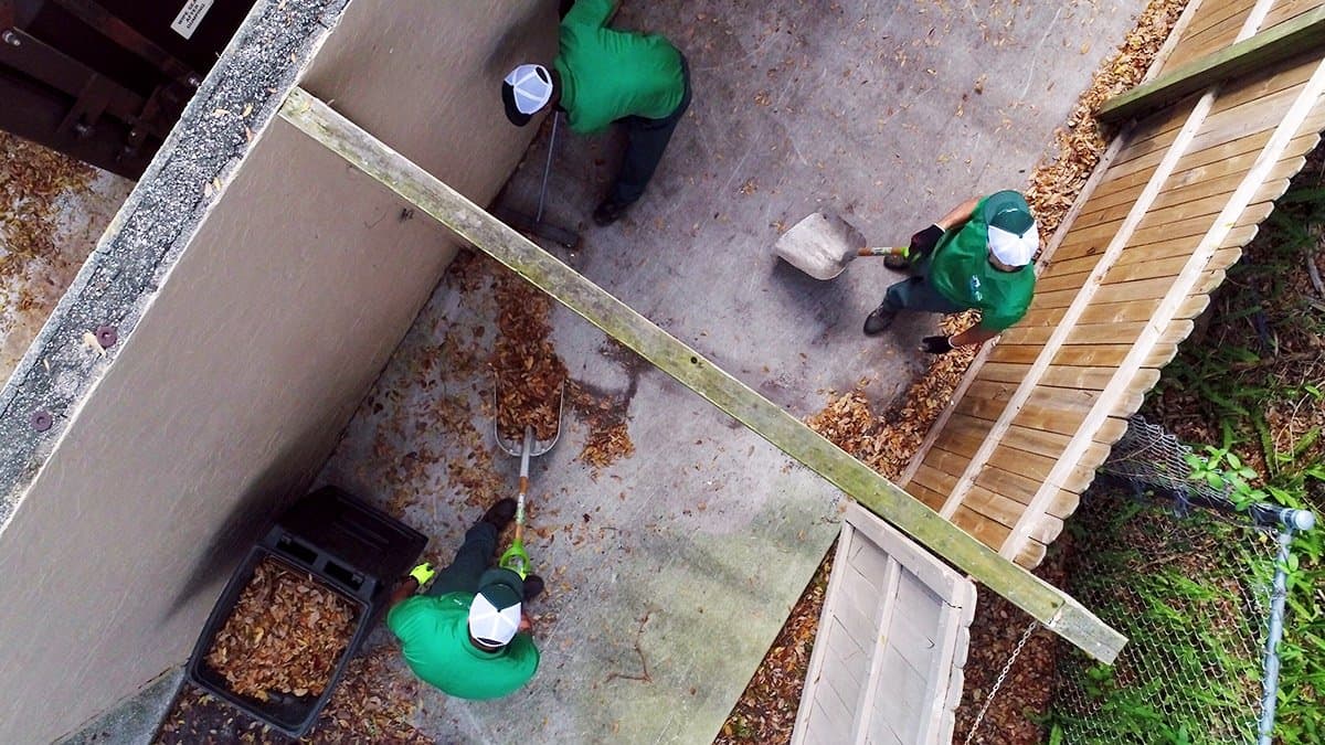 Junk Shot franchise team — aerial view of operations