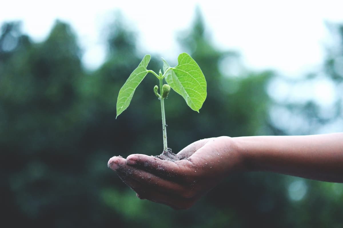 Why Junk Shot franchise stands out — recycling and sustainability